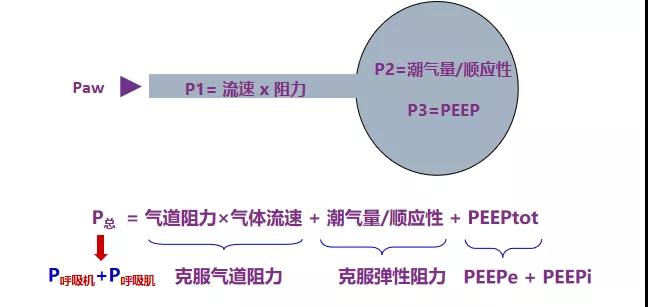 1583802833361231.jpg 微信圖片_20200310091749.jpg